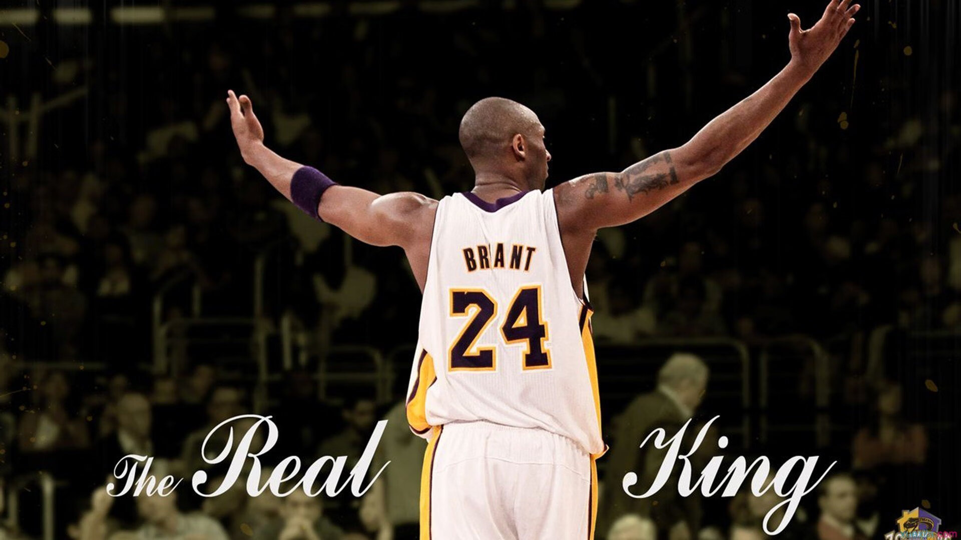 亚历山德里娅·帕金斯50米蝶泳冲进前列